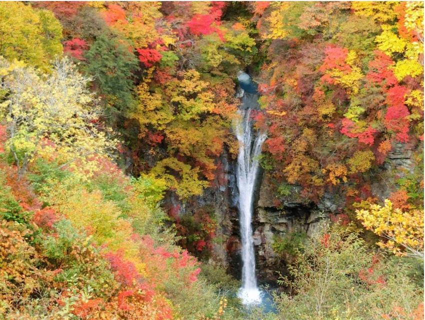 ヴィンテージ那須 Villa Nasu Luaran gambar